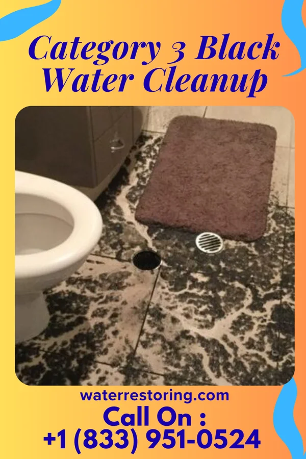 Category 3 Black Water Cleanup in Banks, AL
