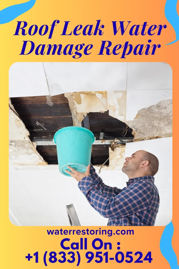 Roof Leak Water Damage Repair in Banks, AL